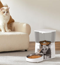 Rojak pet cat automatic feeder, cat bowl, cat and dog food intelligent feeding machine, timed and quantified cat and dog supplies