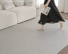 Carpet living room Italian minimalist 2024 new waterproof bedroom no wash erasable light luxury high-end sofa home floor mat