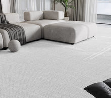 Carpet living room 2024 new model, light luxury, high-end, no wash, erasable, household coffee table blanket, thickened, dirt resistant, bedroom floor mat