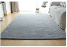 Carpet Living Room Solid Color Simple Sofa Tea Table Carpet Thickened Bedside Carpet Room Fully Covered Home Bedroom Carpet