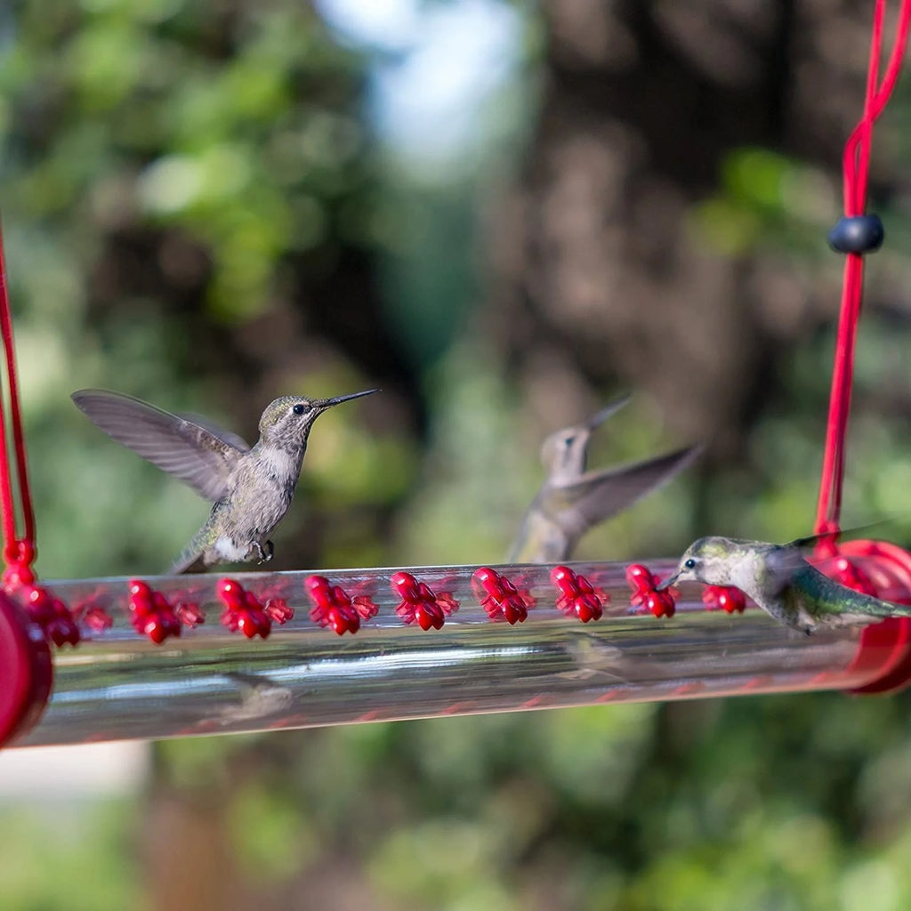 Bob's Best Hummingbird Feeder Apex Store USA