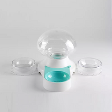 Pretty Cute Filter Clear Pure Water Fountain Double Pet Drinking And Feeding All In One Bowl 2.1L For Cats And Dog