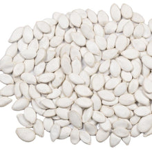 Raw snow white pumpkin seed best price wholesale