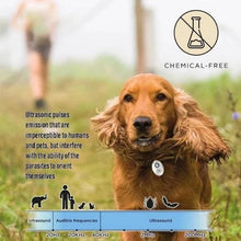 Ultrasonic Flea & Tick Repeller