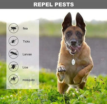Ultrasonic Flea & Tick Repeller