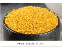 Shaanxi rice fat millet 2022 new millet porridge yellow millet Shaanbei millet new rice oil millet cereals 5 jin