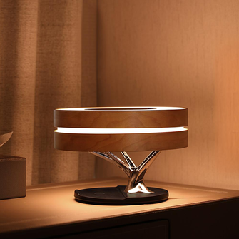 Circle Life Light