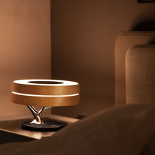 Circle Life Light