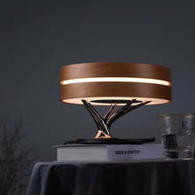 Circle Life Light