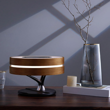 Circle Life Light