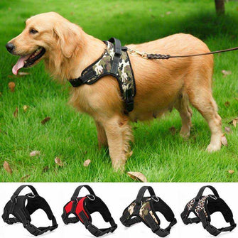 Pet dog and cat harness adjustable with reflective and breathable leash for small and large dog harness vest pet supplies
