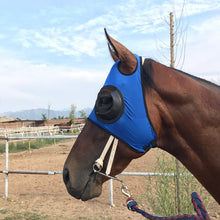 New horse harness supplies horse cover windproof eye mask speed racing eye mask with mesh mask anti trachoma set horse head cove