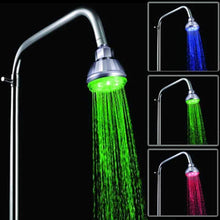 Rainbow Bather