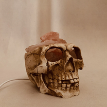 Badass Skull Himalayan Salt Crystal Lamp