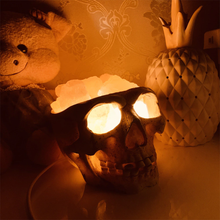 Badass Skull Himalayan Salt Crystal Lamp