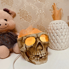 Badass Skull Himalayan Salt Crystal Lamp