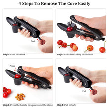 Hot selling kitchen gadget seed remover tools fruit corer extractor manual cherry pitter