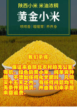 [Sheep dung planting] Yan'an specialty, a farmer in northern Shaanxi, with rice fat millet of 5 kg in 2022