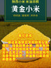 [Sheep dung planting] Yan'an specialty, a farmer in northern Shaanxi, with rice fat millet of 5 kg in 2022