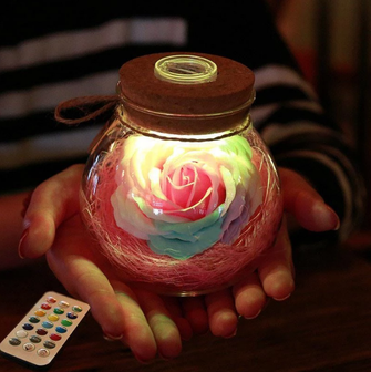 LED Rose Bottle Lamp