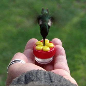 Handheld Hummingbird Feeders With Suction Cup