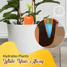 Creative Automatic Plant Watering Carrots - 2PCS