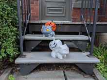 Halloween Pumpkin-Pumpkasaur-Pokemon