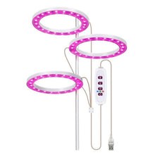 Full Spectrum LED Grow Light USB 5V Dimmable Plant Growth Lamp for Indoor Plant Hydroponic Flower Greenhouse Seedling Fill Light